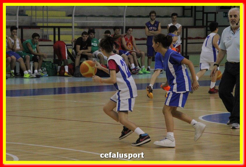 140505 basket 225_tn.jpg